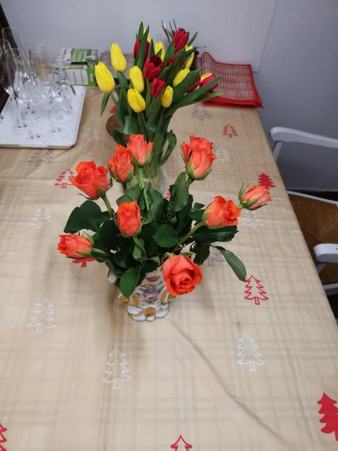 Rose Apartment Вилжуиф Екстериор снимка